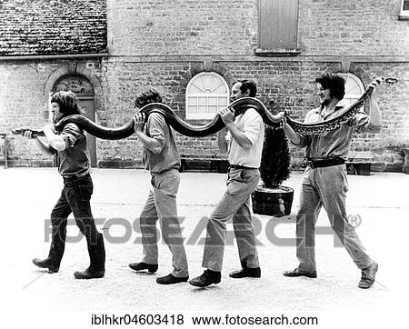 Stock Photo - Four men carry a Python, England, Great Britain. Fotosearch
