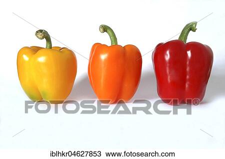 Free-standing various peppers, Germany, Europe View Large Photo Image Stock Image - Free-standing various peppers, Germany, Europe. Fotosearch