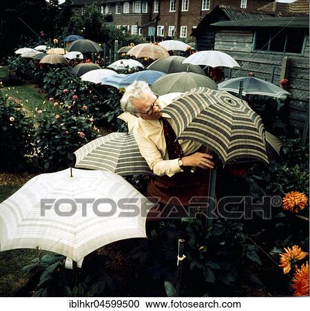 Gardener with umbrellas, England, Great Britain View Large Photo Image Stock Image - Gardener with umbrellas, England, Great Britain. Fotosearch