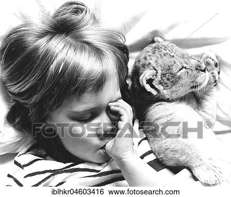 Stock Photograph - Girl and baby lion sleeping, England, Great Britain. Fotosearch