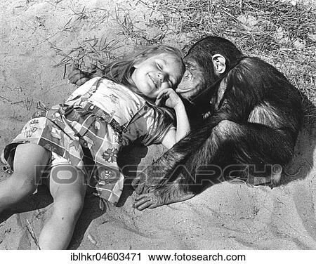 Stock Image - Girl and chimpanzee cuddling on the beach, England, Great Britain. Fotosearch