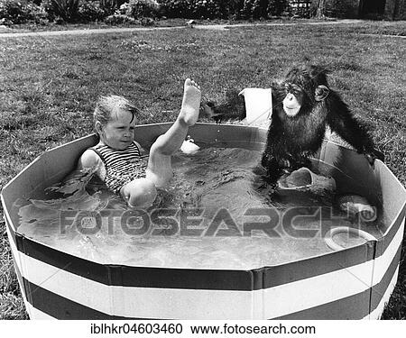 Stock Image - Girl and chimpanzee in paddling pool, England, Great Britain. Fotosearch