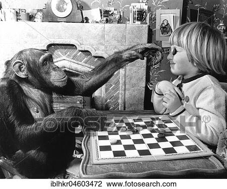 Stock Image - Girl and chimpanzee play the mill, England, Great Britain. Fotosearch