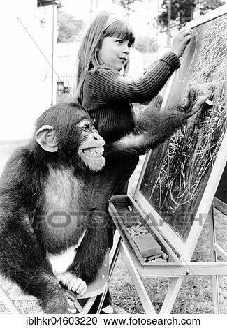 Stock Image - Girl and monkey write on blackboard, England, Great Britain. Fotosearch