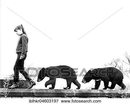Stock Photo - Girl balancing with two brown bear cubs on wall, England, Great Britain. Fotosearch