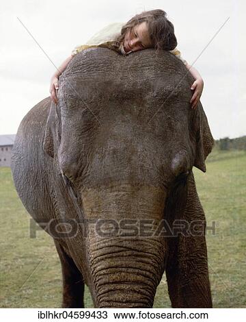 Girl cuddles with elephant, England, Great Britain View Large Photo Image Stock Image - Girl cuddles with elephant, England, Great Britain. Fotosearch