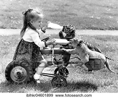 Stock Photo - Girl feeding a tiger and a lion baby, England, Great Britain. Fotosearch