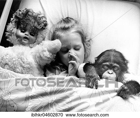 Girl in bed with chimpanzees and dolls, England, Great Britain View Large Photo Image Stock Image - Girl in bed with chimpanzees and dolls, England, Great Britain. Fotosearch