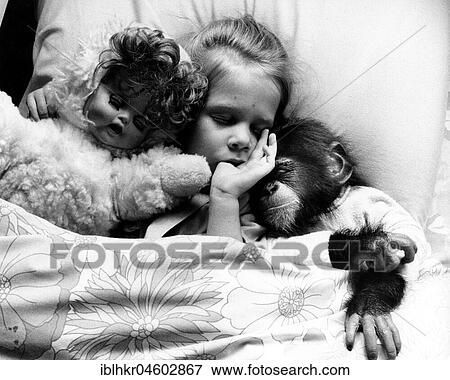 Girl in bed with chimpanzees and dolls, England, Great Britain View Large Photo Image Stock Photo - Girl in bed with chimpanzees and dolls, England, Great Britain. Fotosearch