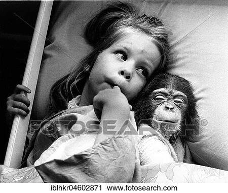 Girl in bed with chimpanzees, England, Great Britain View Large Photo Image Stock Image - Girl in bed with chimpanzees, England, Great Britain. Fotosearch