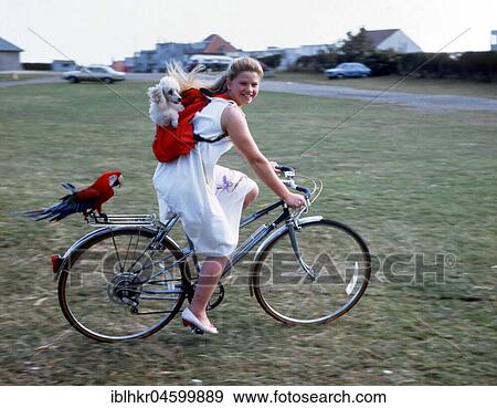 Girl on a bike with a dog and a parrot, England, Great Britain View Large Photo Image Stock Photo - Girl on a bike with a dog and a parrot, England, Great Britain. Fotosearch