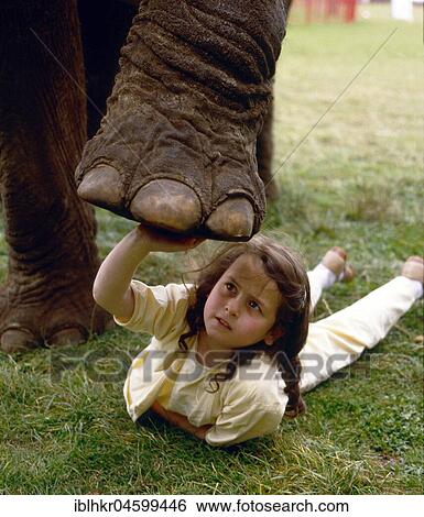 Girl plays with elephant, England, Great Britain View Large Photo Image Stock Photograph - Girl plays with elephant, England, Great Britain. Fotosearch