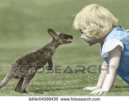Girl plays with little kangaroo, England, Great Britain View Large Photo Image Stock Photo - Girl plays with little kangaroo, England, Great Britain. Fotosearch