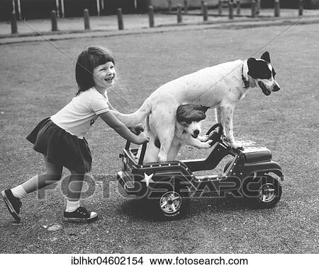 Picture - Girl pushes carriage with two dogs, England, Great Britain. Fotosearch