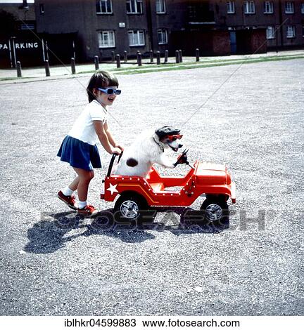 Stock Image - Girl pushes Jack Russell in toy car, England, Great Britain. Fotosearch