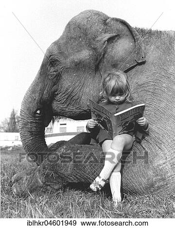 Girl sits on elephant and reads, England, Great Britain View Large Photo Image Stock Photo - Girl sits on elephant and reads, England, Great Britain. Fotosearch