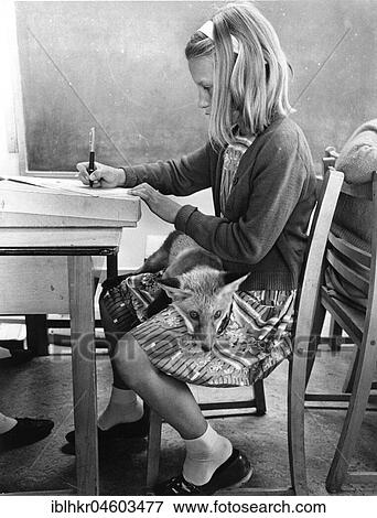 Girl with a fox in school, England, Great Britain View Large Photo Image Stock Photo - Girl with a fox in school, England, Great Britain. Fotosearch