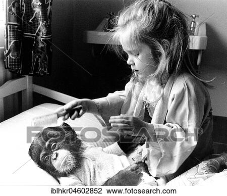 Girl with chimpanzee baby, England, Great Britain View Large Photo Image Stock Image - Girl with chimpanzee baby, England, Great Britain. Fotosearch