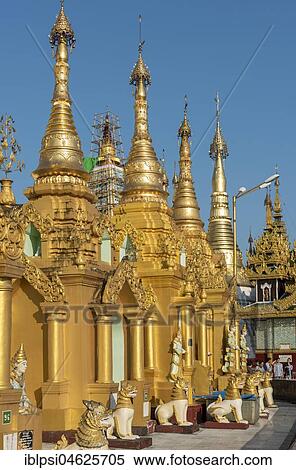 Golden stupas, Shwedagon Pagoda, Yangon, Myanmar, Burma, Asia View Large Photo Image Stock Photography - Golden stupas, Shwedagon Pagoda, Yangon, Myanmar, Burma, Asia. Fotosearch