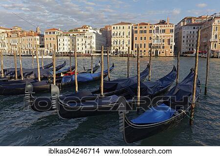Picture - Grand Canal in the morning light with gondolas and Palazzi, Venice, Veneto, Italy, Europe. Fotosearch