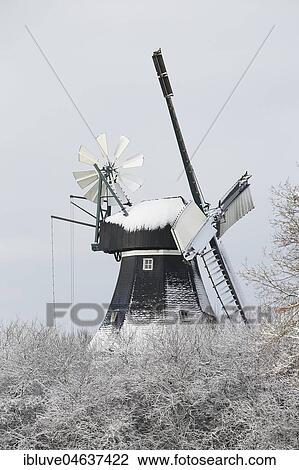 Stock Image - Götzberg Mühle in winter, historic dutch windmill with jalousie wings and wind rose, Götzberg, Schleswig-Holstein, Germany, Europe. Fotosearch