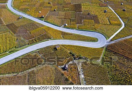 Stock Image - Hairpin bend of a country road runs through the autumn vineyards in the Valais wine growing region of Leytron, Valais, Switzerland, Europe. Fotosearch