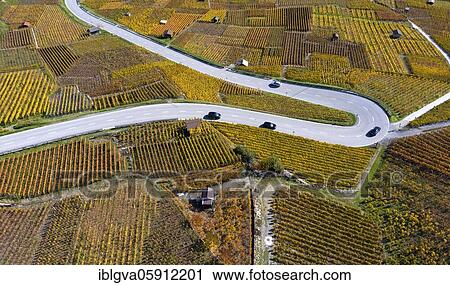 Hairpin bend of a country road runs through the autumn vineyards in the Valais wine growing region of Leytron, Valais, Switzerland, Europe View Large Photo Image Stock Image - Hairpin bend of a country road runs through the autumn vineyards in the Valais wine growing region of Leytron, Valais, Switzerland, Europe. Fotosearch