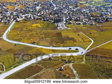 Hairpin bend of a country road runs through the autumn vineyards in the Valais wine growing region of Leytron, Valais, Switzerland, Europe View Large Photo Image Stock Photo - Hairpin bend of a country road runs through the autumn vineyards in the Valais wine growing region of Leytron, Valais, Switzerland, Europe. Fotosearch