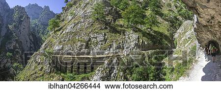 Hiking path through the Cares Gorge, Picos de Europa National Park, Cain, Castilla y Leon, Spain, Europe View Large Photo Image Picture - Hiking path through the Cares Gorge, Picos de Europa National Park, Cain, Castilla y Leon, Spain, Europe. Fotosearch