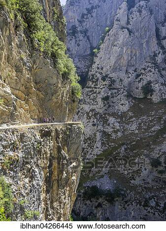 Hiking trail on a rock-cliff through the Cares Gorge, Picos de Europa National Park, Cain, Castilla y Leon, Spain, Europe View Large Photo Image Stock Photography - Hiking trail on a rock-cliff through the Cares Gorge, Picos de Europa National Park, Cain, Castilla y Leon, Spain, Europe. Fotosearch