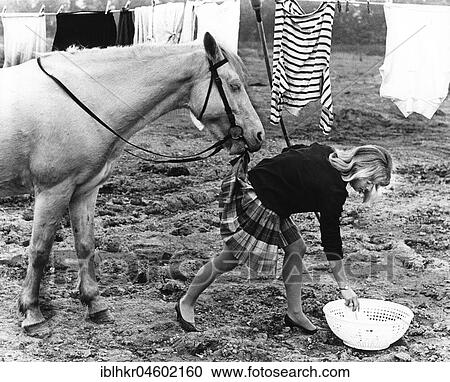 Horse bites into a woman's skirt, England, Great Britain View Large Photo Image Stock Image - Horse bites into a woman's skirt, England, Great Britain. Fotosearch