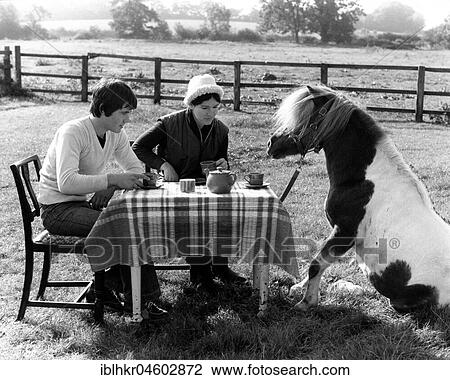 Stock Image - Horse picnics with people, England, Great Britain. Fotosearch