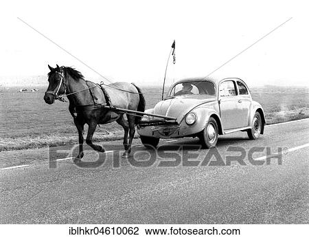 Horse pulls a VW Beetle, a PS, Mexico City, Mexico, Central America View Large Photo Image Stock Image - Horse pulls a VW Beetle, a PS, Mexico City, Mexico, Central America. Fotosearch