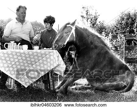 Horse sits with family at set table, man and woman, England, Great Britain View Large Photo Image Stock Photograph - Horse sits with family at set table, man and woman, England, Great Britain. Fotosearch