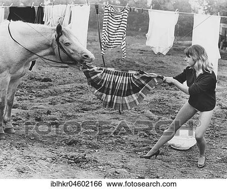 Horse steals skirt, England, Great Britain View Large Photo Image Stock Photograph - Horse steals skirt, England, Great Britain. Fotosearch