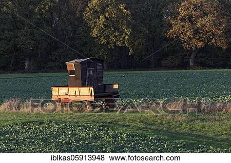 Hunter's high seat mounted on a trailer, on a field at the Lower Rhine, evening light, North Rhine-Westphalia, Germany, Europe View Large Photo Image Stock Photo - Hunter's high seat mounted on a trailer, on a field at the Lower Rhine, evening light, North Rhine-Westphalia, Germany, Europe. Fotosearch