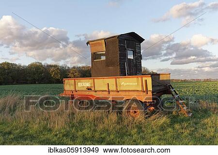 Hunter's high seat mounted on a trailer, on a field at the Lower Rhine, evening light, North Rhine-Westphalia, Germany, Europe View Large Photo Image Stock Photo - Hunter's high seat mounted on a trailer, on a field at the Lower Rhine, evening light, North Rhine-Westphalia, Germany, Europe. Fotosearch