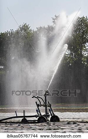 Irrigation machine irrigates a potato field in spring, Lower Rhine, North Rhine-Westphalia, Germany, Europe View Large Photo Image Picture - Irrigation machine irrigates a potato field in spring, Lower Rhine, North Rhine-Westphalia, Germany, Europe. Fotosearch