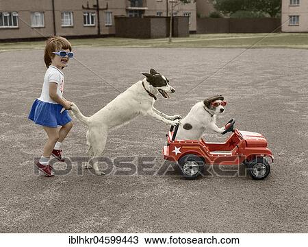 Jack Russell plays with girls, England, Great Britain View Large Photo Image Stock Image - Jack Russell plays with girls, England, Great Britain. Fotosearch