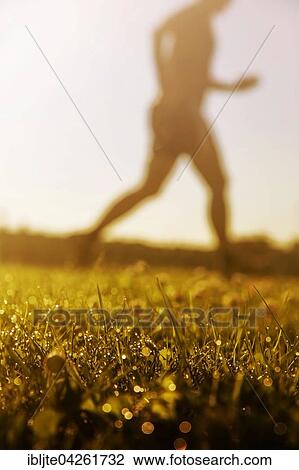Jogger running in grass, dewdrops, Germany, Europe View Large Photo Image Stock Image - Jogger running in grass, dewdrops, Germany, Europe. Fotosearch