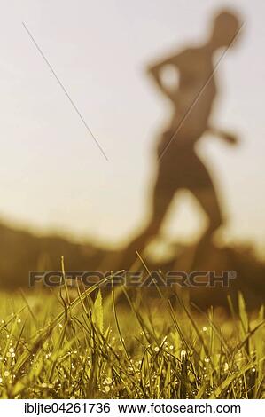 Jogger running in grass, dewdrops, Germany, Europe View Large Photo Image Stock Photograph - Jogger running in grass, dewdrops, Germany, Europe. Fotosearch