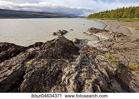 Stock Image - Lagarfljot Lake, East Iceland, Iceland, Europe. Fotosearch
