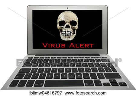 Laptop with skull on the screen, symbol image of computer viruses, cybercrime View Large Photo Image Stock Photo - Laptop with skull on the screen, symbol image of computer viruses, cybercrime. Fotosearch