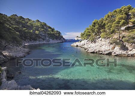 Stock Image - Les Calanques bay, Port Pin, Calanques National Park or Parc National des Calanques, Cassis, Provence, Provence-Alpes-Cote d'Azur, Southern France, France, Europe. Fotosearch