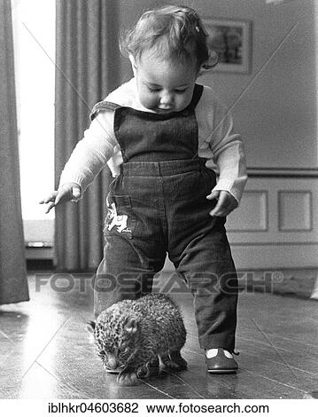 Stock Image - Little boy playing with baby predator, England, Great Britain. Fotosearch