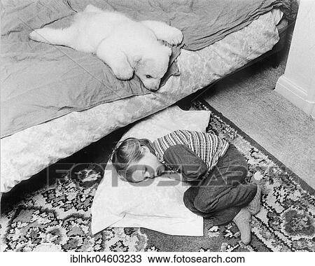 Little polar bear cub and a girl sleeping, England, Great Britain View Large Photo Image Stock Image - Little polar bear cub and a girl sleeping, England, Great Britain. Fotosearch