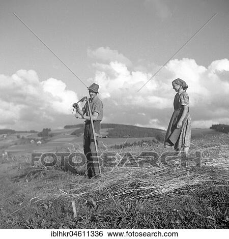 Stock Photograph - Man and woman harvesting grain, da. 50's, near Freiburg, Germany, Europe. Fotosearch