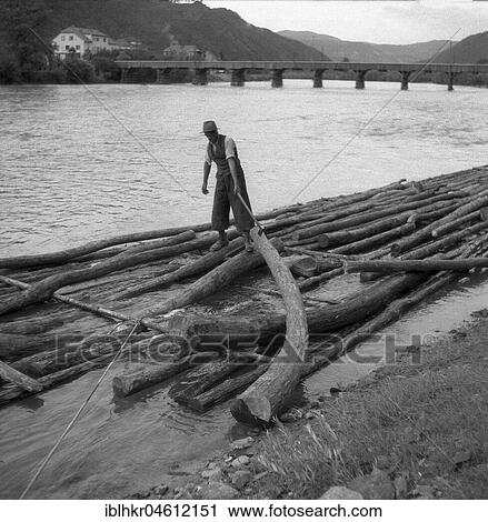 Stock Image - Man builds a raft from tree trunks, ca. 1945 to 1955, near Freiburg, Germany, Europe. Fotosearch