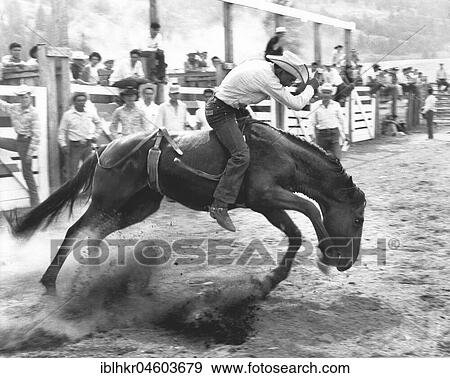 Man on horse during rodeo, England, Great Britain View Large Photo Image Stock Photo - Man on horse during rodeo, England, Great Britain. Fotosearch