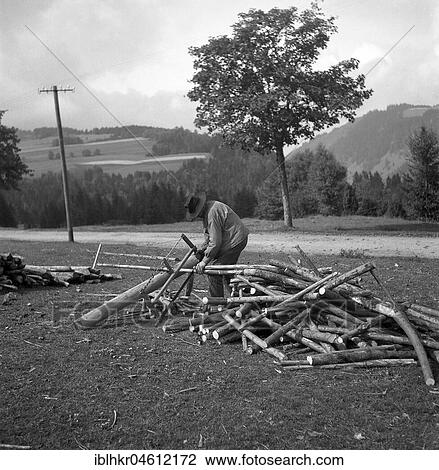 Man saws wood, around Freiburg from 1945 to 1955 View Large Photo Image Stock Image - Man saws wood, around Freiburg from 1945 to 1955. Fotosearch